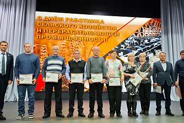 В Саракташе наградили тружеников села